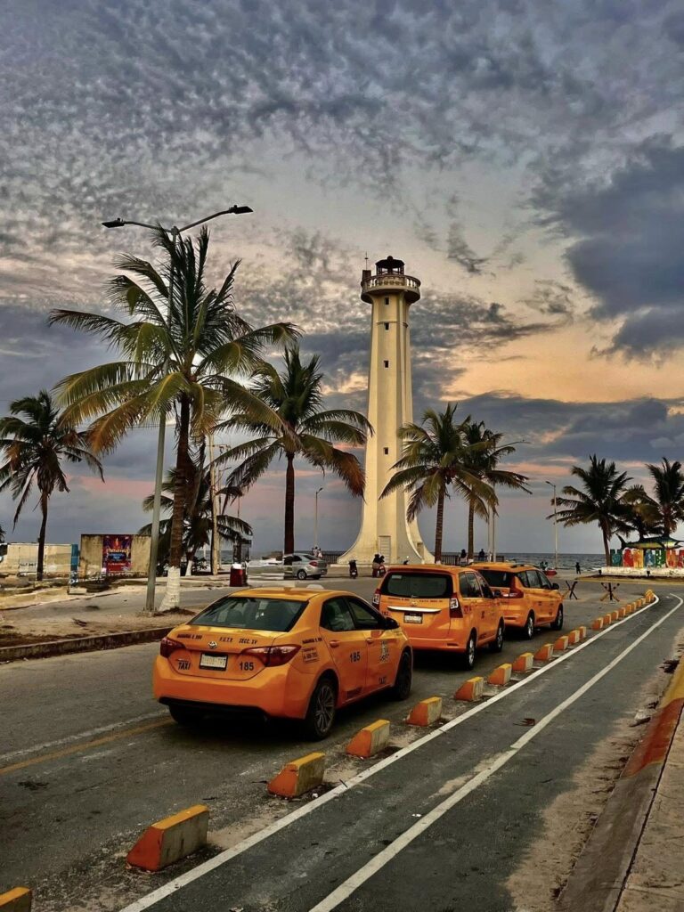 taxy1 768x1024