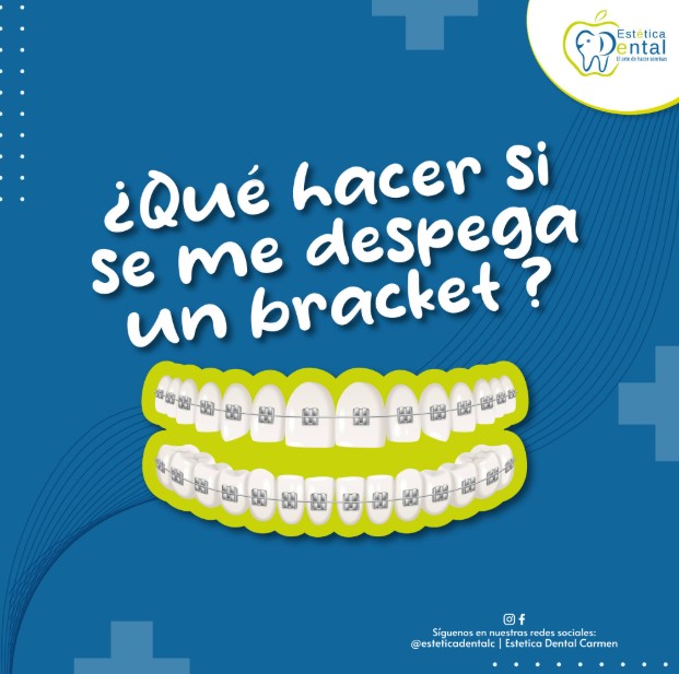 oferta 4